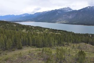 Commercial Land for Sale, Lot 1 Hardie Creek Road, Columbia Lake, BC