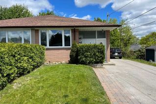 Semi-Detached House for Rent, 186 Silverbirch Dr #Bsmt, Newmarket, ON
