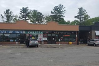 Convenience/Variety Non-Franchise Business for Sale, 707 River Rd W #3, Wasaga Beach, ON