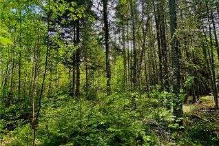 Property for Sale, 0 Route 585, Newbridge, NB Property for Sale, 0 Route 585, Newbridge, NB