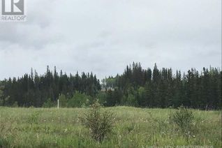 Commercial Land for Sale, 126 Felaber Road, Hinton, AB