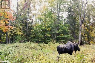 Property for Sale, 0 Little Road, Bracebridge, ON Property for Sale, 0 Little Road, Bracebridge, ON