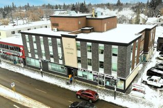 Office for Lease, 207 10534 124 St Nw, Edmonton, AB