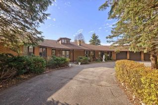 Bungalow for Rent, 20 Executive Dr #Lower, Whitchurch-Stouffville, ON