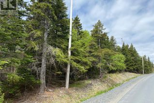 Commercial Land for Sale, 0 Saddle Hill, Carbonear, NL