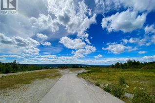Commercial Land for Sale, 151 Trans Canada Highway, Gander, NL
