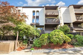 Property for Sale, 385 Ginger Drive #11, New Westminster, BC Property for Sale, 385 Ginger Drive #11, New Westminster, BC