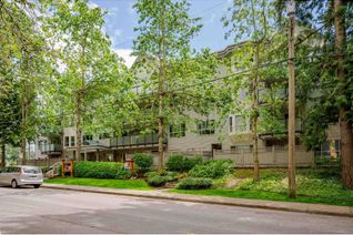 Condo for Sale, 2088 55a Avenue #201, LANGLEY, BC Condo for Sale, 2088 55a Avenue #201, LANGLEY, BC