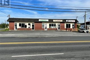 Commercial/Retail Property for Sale, 225 Conception Bay Highway, Bay Roberts, NL