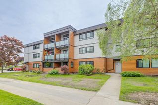 Condo for Sale, 3411 Springfield Drive #201, Richmond, BC Condo for Sale, 3411 Springfield Drive #201, Richmond, BC