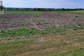 Land for Sale, 0 Drive In Road W, Greater Napanee, ON Land for Sale, 0 Drive In Road W, Greater Napanee, ON