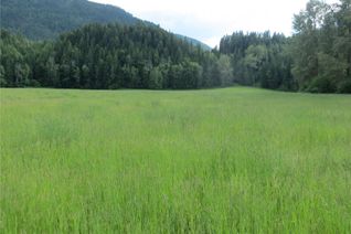 Commercial Farm for Sale, 595 Albers Road, Lumby, BC