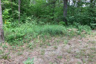 Vacant Residential Land for Sale, 6 River Rd W, Wasaga Beach, ON