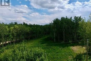 Land for Sale, 50226 Range Road 204 #62, Rural Beaver County, AB