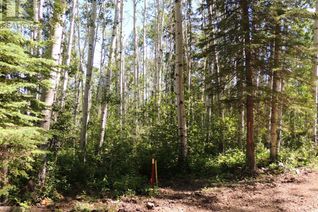 Land for Sale, Lot 10 Sw-21-69-10-6, Rural Grande Prairie No. 1, County of, AB