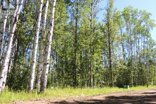 Land for Sale, Lot 20 Sw-21-69-10-6, Rural Grande Prairie No. 1, County of, AB