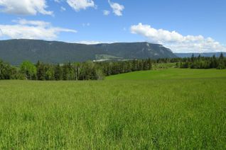 Commercial Farm for Sale, 1144 Tappen Valley Road, Tappen, BC
