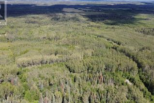Property for Sale, 3319 Mcconachie Creek Road, Fort Nelson, BC Property for Sale, 3319 Mcconachie Creek Road, Fort Nelson, BC