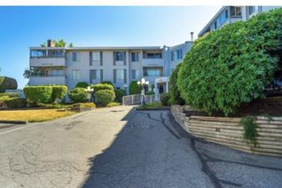 Condo Apartment for Sale, 32950 Amicus Place #314, Abbotsford, BC