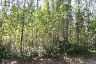 Land for Sale, Lot 11 Sw-21-69-10-6, Rural Grande Prairie No. 1, County of, AB