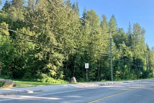 Property for Sale, 1448 Airport Way, Revelstoke, BC Property for Sale, 1448 Airport Way, Revelstoke, BC