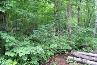 Land for Sale, Ch. Nibi, Ferme-Neuve, QC