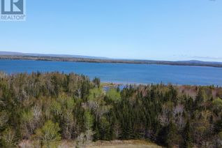 Commercial Land for Sale, Lot 37 Allan's Point Road, Malagawatch, NS