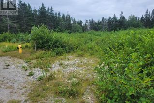Land for Sale, 42-46 Courthouse, St Georges, NL