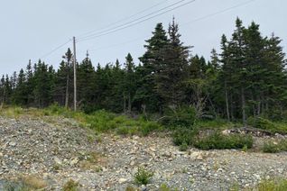 Property for Sale, 40-44 Micnoel Place, Torbay, NL Property for Sale, 40-44 Micnoel Place, Torbay, NL