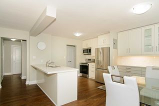 Apartment for Rent, 2128 Ghent Ave N #4, Burlington, ON Apartment for Rent, 2128 Ghent Ave N #4, Burlington, ON