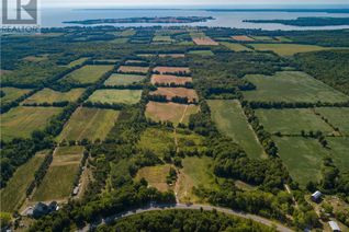Commercial Farm for Sale, 944 County Road 7 Road, Picton, ON