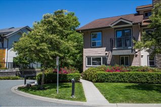 Property for Sale, 1204 Main Street #35, Squamish, BC Property for Sale, 1204 Main Street #35, Squamish, BC