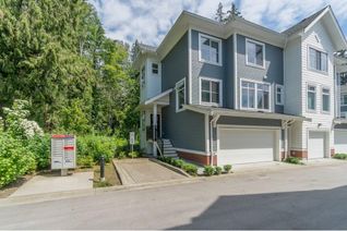 Condo Townhouse for Sale, 24021 110 Avenue #9, Maple Ridge, BC