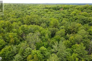 Property for Sale, 11 Walkers Point Road, Gravenhurst, ON Property for Sale, 11 Walkers Point Road, Gravenhurst, ON