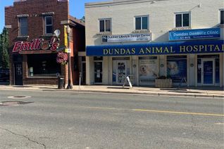 Commercial/Retail Property for Sale, 119 King Street W, Dundas, ON