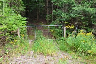 Commercial Land for Sale, 1525 Queensborough Road, Tweed, ON