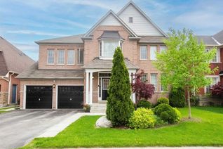 Apartment for Rent, 32 Princess Vally Cres #Bsmt, Brampton, ON Apartment for Rent, 32 Princess Vally Cres #Bsmt, Brampton, ON