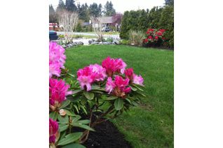 Property for Sale, 20258 37a Avenue, Langley, BC Property for Sale, 20258 37a Avenue, Langley, BC