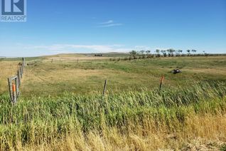 Land for Sale, 31017 262, Cardston, AB
