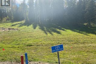 Land for Sale, 205 High Timber Place, Rural Clearwater County, AB