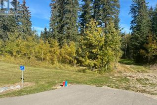 Commercial Land for Sale, 160 Meadow Ponds Drive, Rural Clearwater County, AB