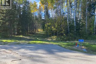 Commercial Land for Sale, 161 Meadow Ponds Drive, Rural Clearwater County, AB Commercial Land for Sale, 161 Meadow Ponds Drive, Rural Clearwater County, AB