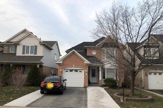 Apartment for Rent, 239 Brisdale Dr, Brampton, ON Apartment for Rent, 239 Brisdale Dr, Brampton, ON