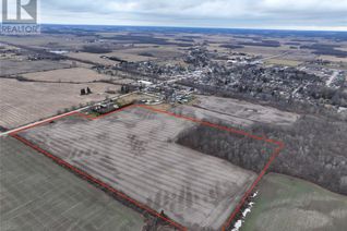 Commercial Land for Sale, 10956 Currie Road, Dutton, ON
