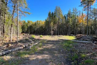 Property for Sale, Lot 22-1 Upper Mountain Rd, Boundary Creek, NB