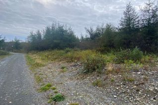 Commercial Land for Sale, 1 Juniper Hill Road, Bay Roberts, NL