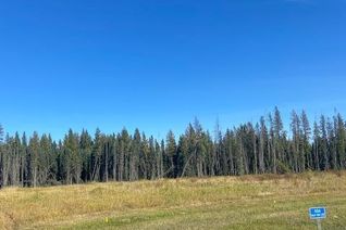 Commercial Land for Sale, 404 Valley View Close, Rural Clearwater County, AB Commercial Land for Sale, 404 Valley View Close, Rural Clearwater County, AB