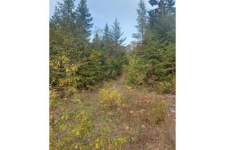 Commercial Land for Sale, 2345 Sheep Crk Frst Rd, Salmo, BC