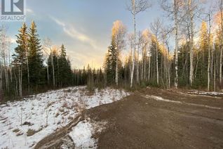 Land for Sale, 160 Drinnan Road, Hinton, AB