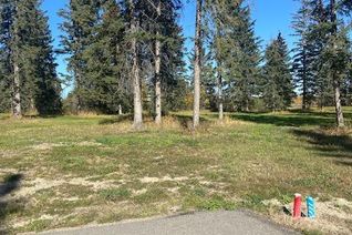 Land for Sale, 313 Valley View Drive, Rural Clearwater County, AB